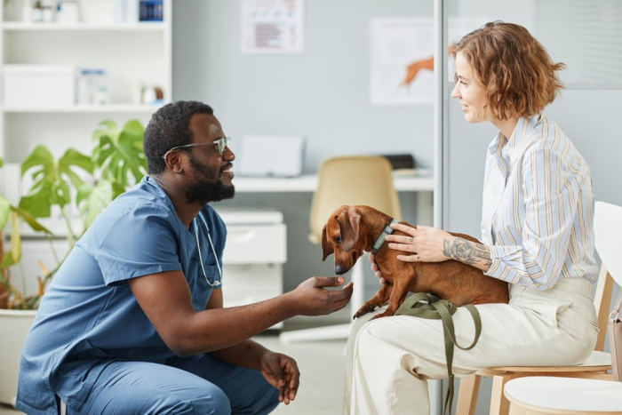 vet talking with dog owner at vet office